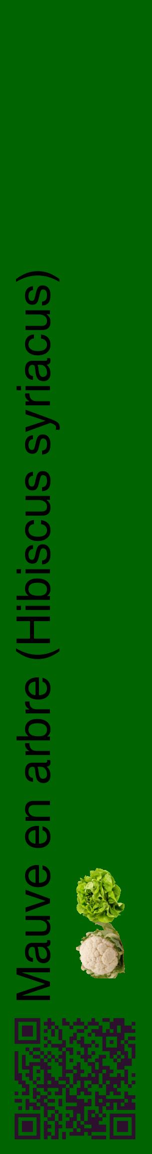 Étiquette de : Hibiscus syriacus - format c - style noire8_basiquehel avec qrcode et comestibilité simplifiée