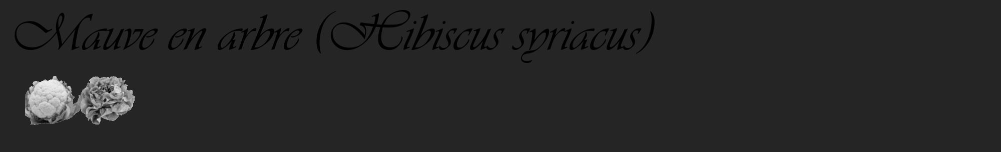 Étiquette de : Hibiscus syriacus - format c - style noire47_basique_basiqueviv avec comestibilité simplifiée