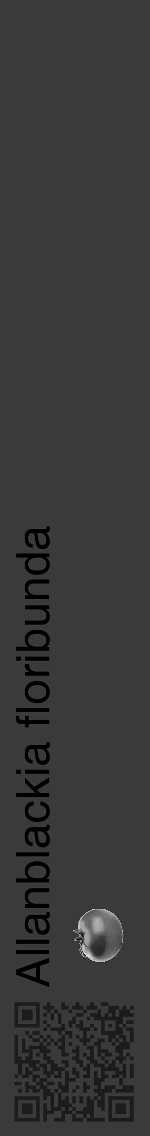 Étiquette de : Allanblackia floribunda - format c - style noire8_basique_basiquehel avec qrcode et comestibilité simplifiée - position verticale