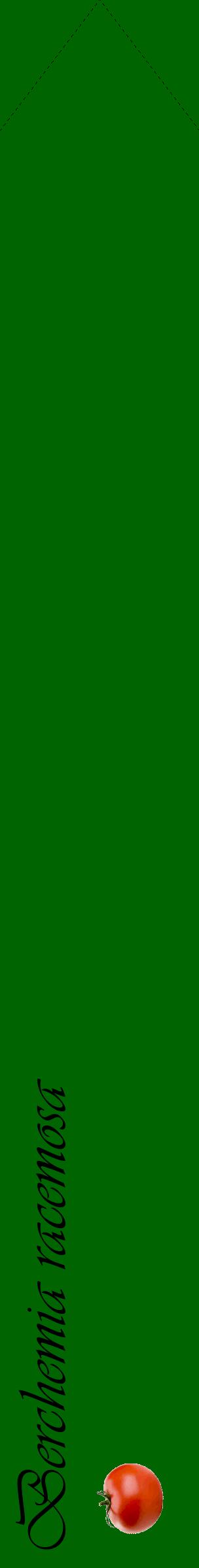 Étiquette de : Berchemia racemosa - format c - style noire8_simpleviv avec comestibilité simplifiée