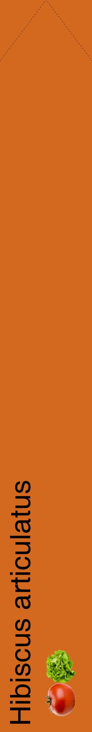 Étiquette de : Hibiscus articulatus - format c - style noire31_simple_simplehel avec comestibilité simplifiée - position verticale