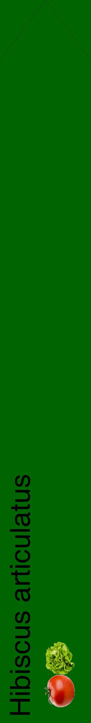 Étiquette de : Hibiscus articulatus - format c - style noire8_simplehel avec comestibilité simplifiée