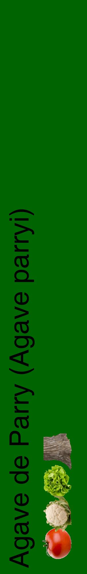 Étiquette de : Agave parryi - format c - style noire8_basiquehel avec comestibilité simplifiée