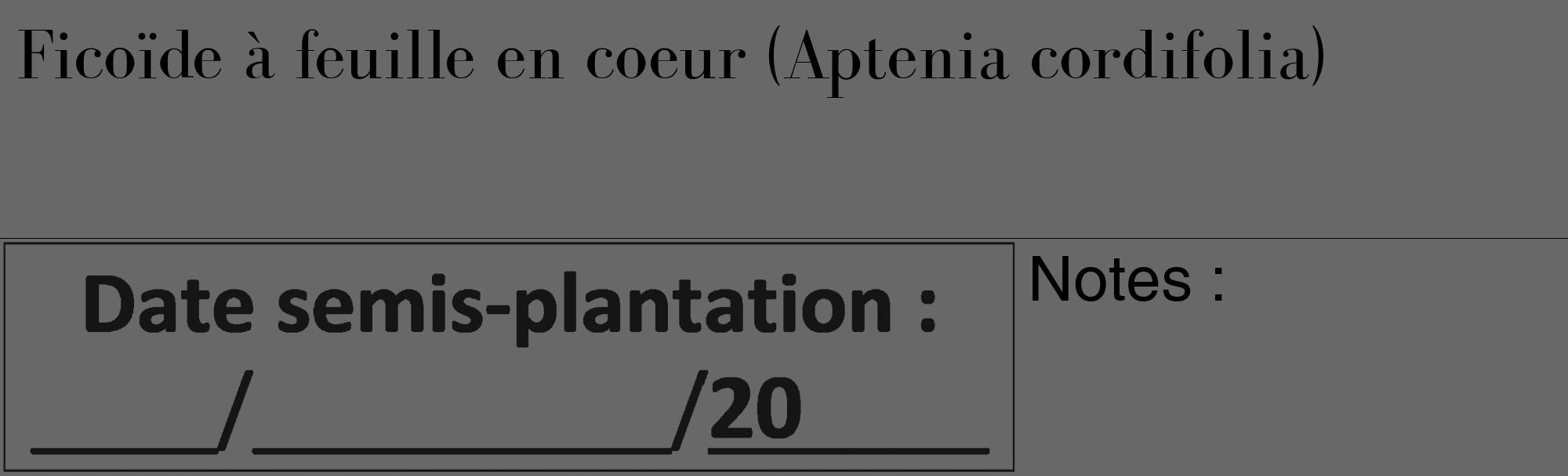 Étiquette de : Aptenia cordifolia - format c - style noire6_basique_basiquebod avec comestibilité