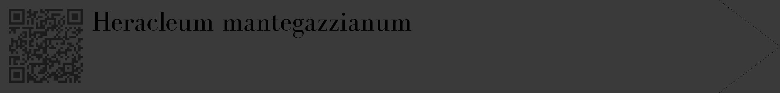 Étiquette de : Heracleum mantegazzianum - format c - style noire8_simple_simplebod avec qrcode et comestibilité