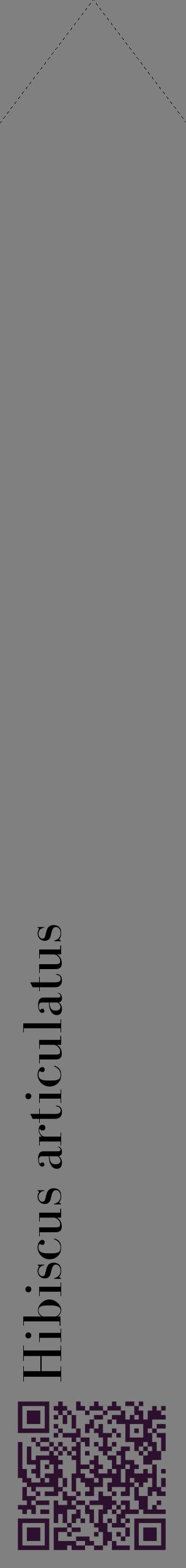 Étiquette de : Hibiscus articulatus - format c - style noire57_simplebod avec qrcode et comestibilité