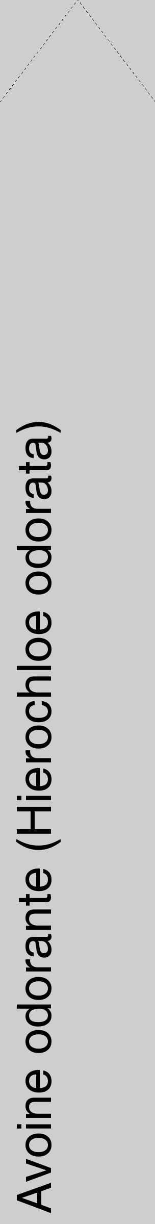 Étiquette de : Hierochloe odorata - format c - style noire17_simple_simplehel avec comestibilité - position verticale