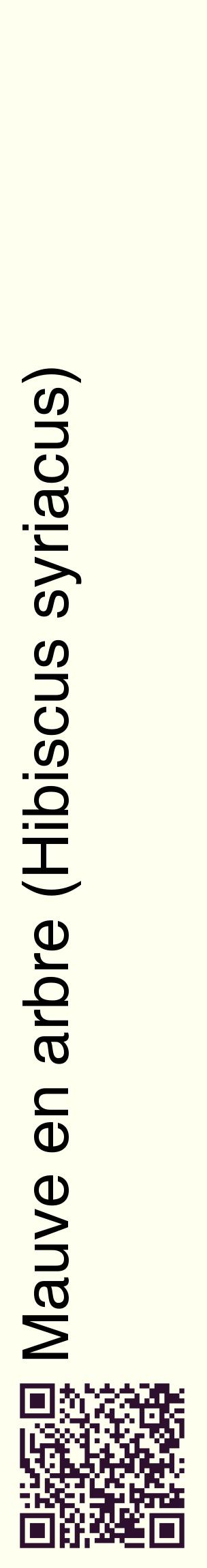 Étiquette de : Hibiscus syriacus - format c - style noire19_basiquehel avec qrcode et comestibilité
