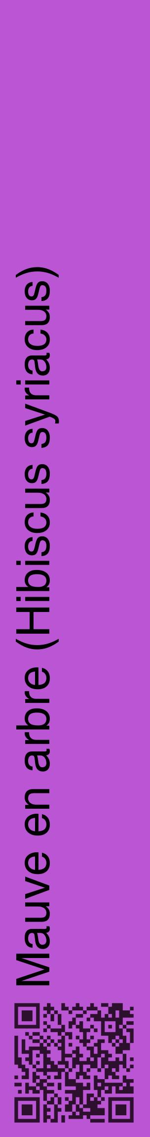 Étiquette de : Hibiscus syriacus - format c - style noire50_basiquehel avec qrcode et comestibilité