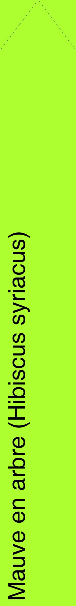 Étiquette de : Hibiscus syriacus - format c - style noire17_simplehel avec comestibilité