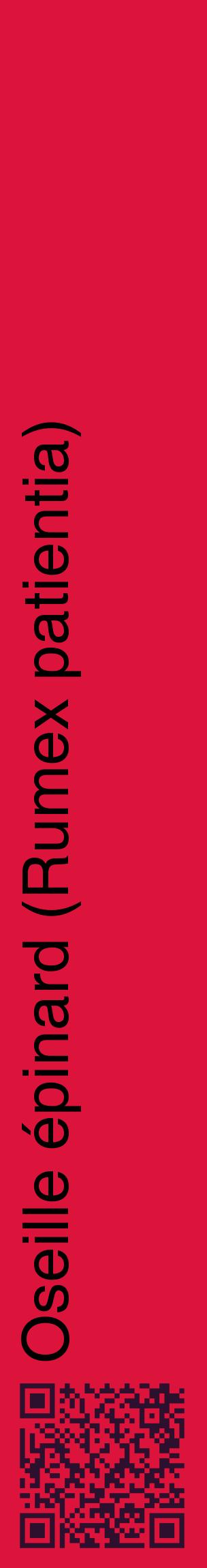 Étiquette de : Rumex patientia - format c - style noire36_basiquehel avec qrcode et comestibilité