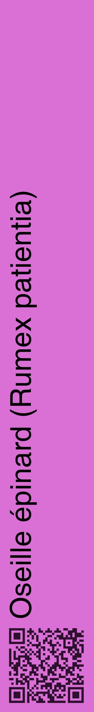 Étiquette de : Rumex patientia - format c - style noire52_basiquehel avec qrcode et comestibilité