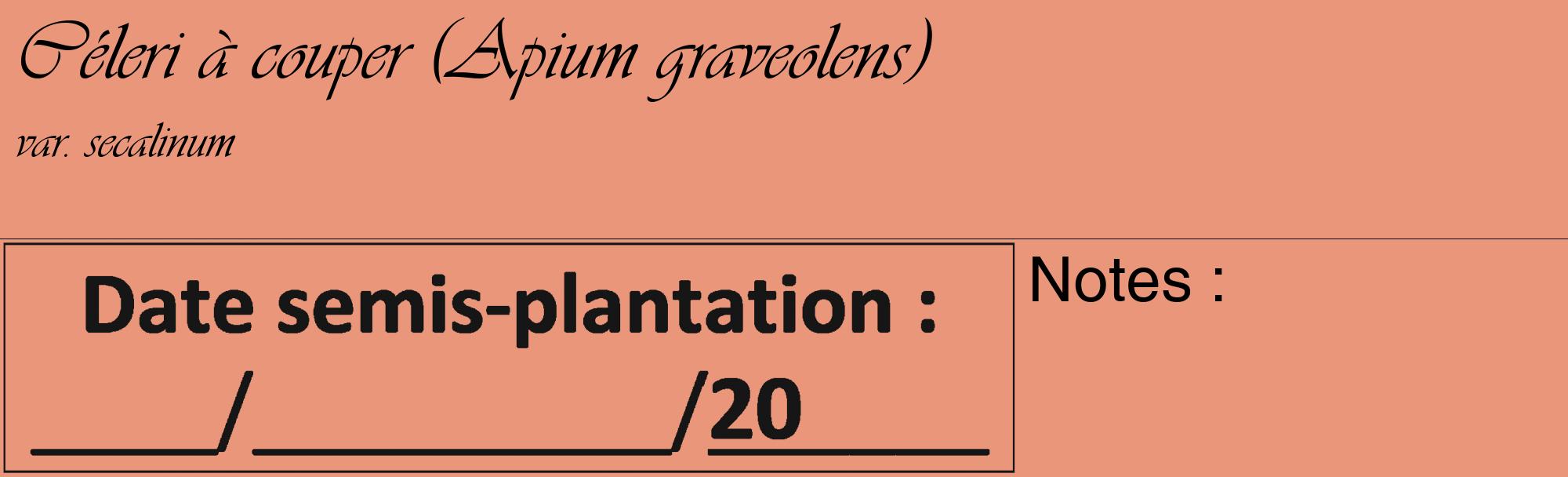 Étiquette de : Apium graveolens var. secalinum - format c - style noire37_basique_basiqueviv avec comestibilité