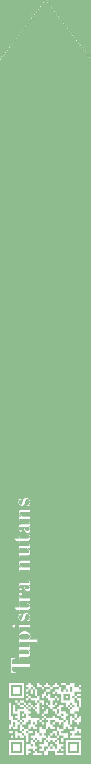 Étiquette de : Tupistra nutans - format c - style blanche13_simplebod avec qrcode et comestibilité