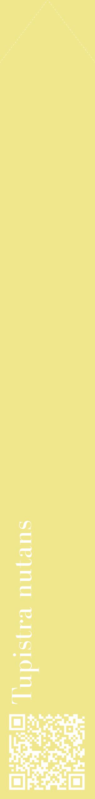 Étiquette de : Tupistra nutans - format c - style blanche20_simplebod avec qrcode et comestibilité