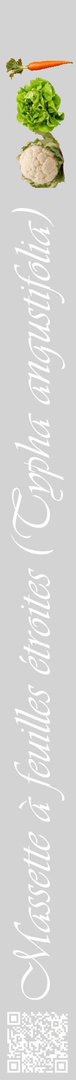 Étiquette de : Typha angustifolia - format a - style blanche56viv avec qrcode et comestibilité simplifiée