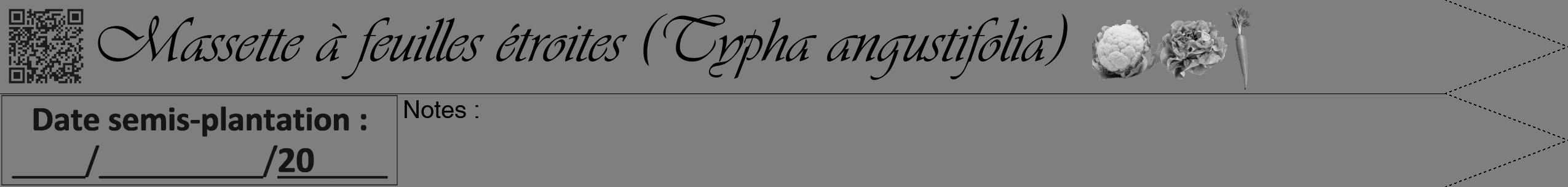 Étiquette de : Typha angustifolia - format b - style noire31viv avec qrcode et comestibilité simplifiée
