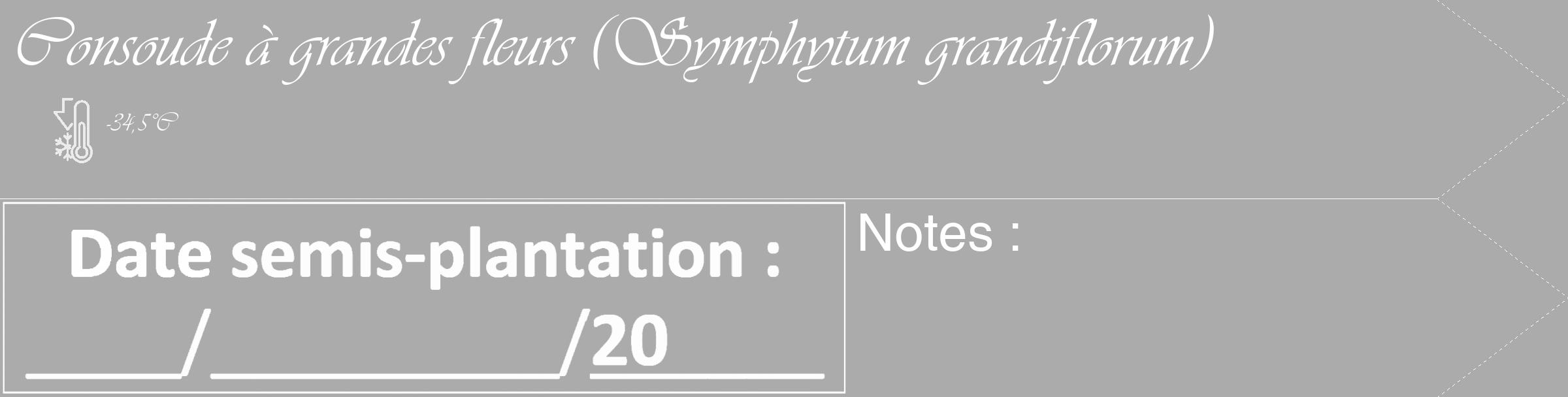 Étiquette de : Symphytum grandiflorum - format c - style blanche37_simple_simpleviv avec comestibilité