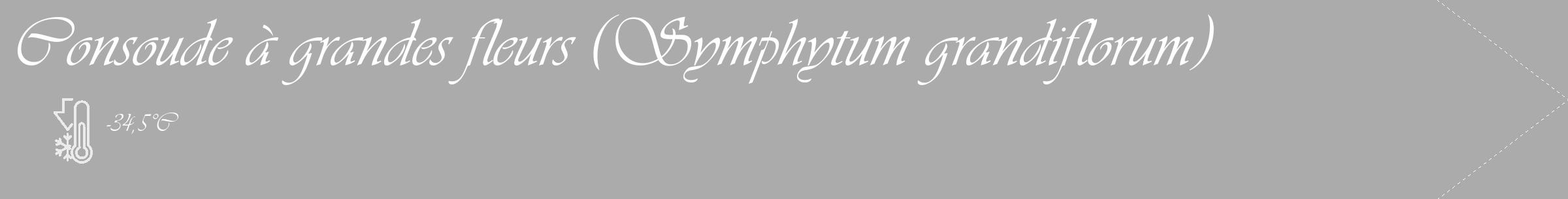 Étiquette de : Symphytum grandiflorum - format c - style blanche37_simple_simpleviv avec comestibilité