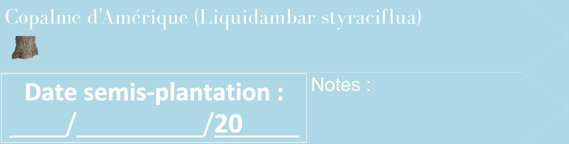Étiquette de : Liquidambar styraciflua - format c - style blanche0_simple_simplebod avec comestibilité simplifiée