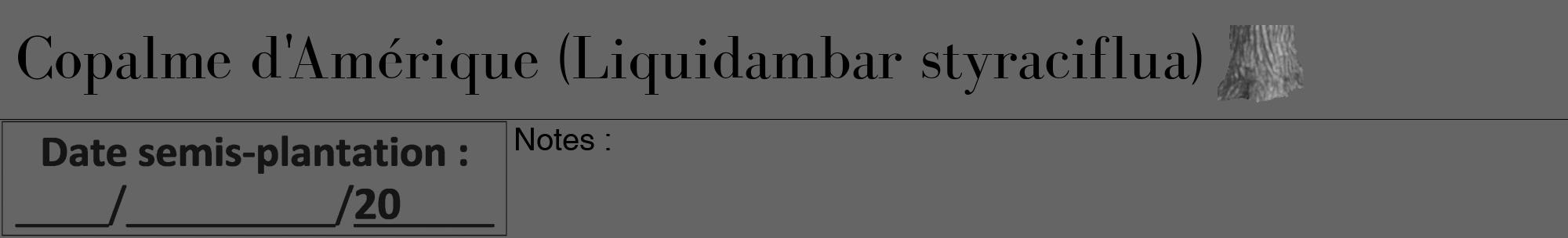 Étiquette de : Liquidambar styraciflua - format a - style noire32bod avec comestibilité simplifiée