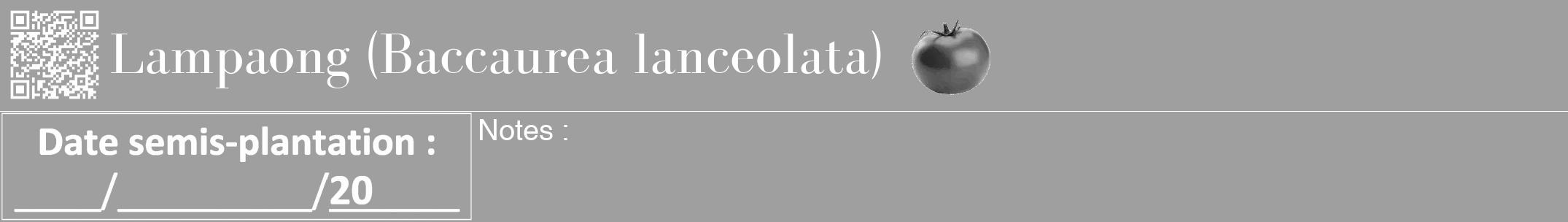 Étiquette de : Baccaurea lanceolata - format a - style blanche24bod avec qrcode et comestibilité simplifiée