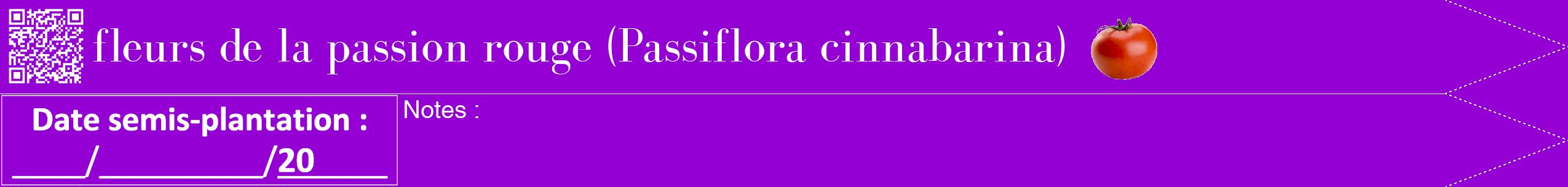 Étiquette de : Passiflora cinnabarina - format b - style blanche48bod avec qrcode et comestibilité simplifiée