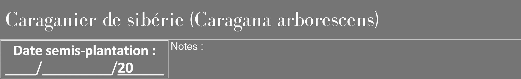 Étiquette de : Caragana arborescens - format a - style blanche5bod avec comestibilité