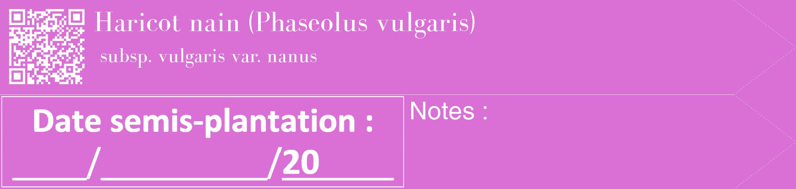 Étiquette de : Phaseolus vulgaris subsp. vulgaris var. nanus - format c - style blanche52_simple_simplebod avec qrcode et comestibilité