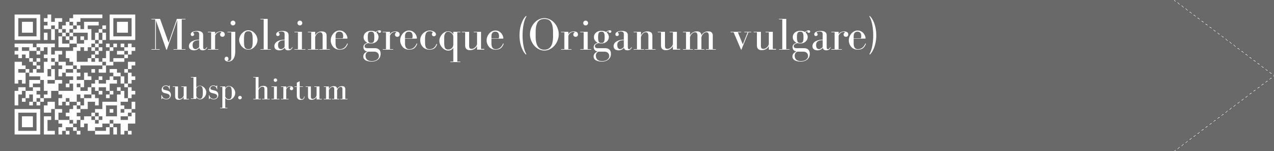 Étiquette de : Origanum vulgare subsp. hirtum - format c - style blanche51_simple_simplebod avec qrcode et comestibilité