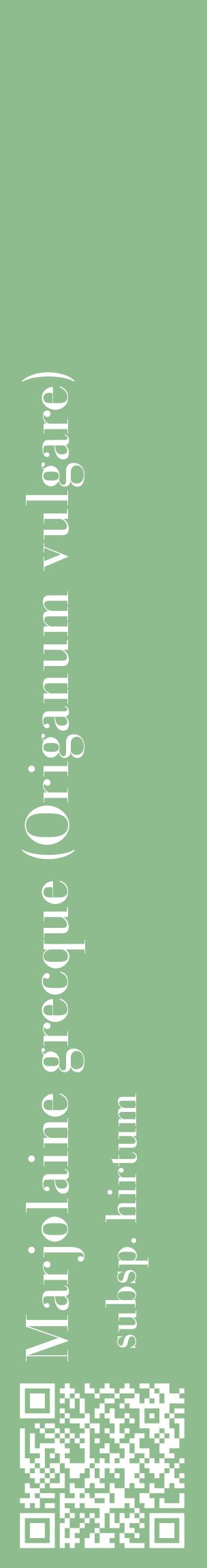 Étiquette de : Origanum vulgare subsp. hirtum - format c - style blanche13_basiquebod avec qrcode et comestibilité