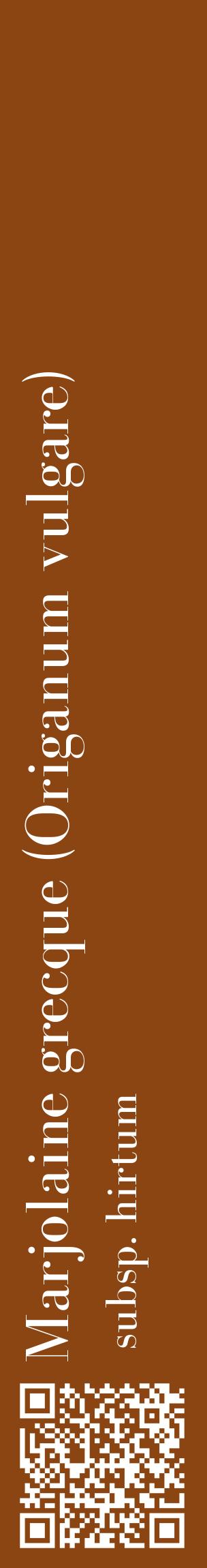 Étiquette de : Origanum vulgare subsp. hirtum - format c - style blanche30_basiquebod avec qrcode et comestibilité