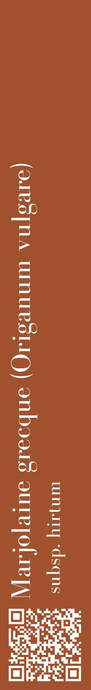 Étiquette de : Origanum vulgare subsp. hirtum - format c - style blanche32_basiquebod avec qrcode et comestibilité