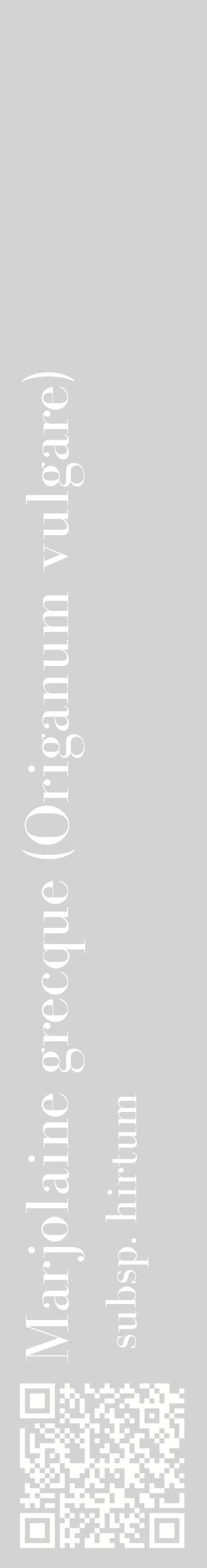 Étiquette de : Origanum vulgare subsp. hirtum - format c - style blanche56_basiquebod avec qrcode et comestibilité