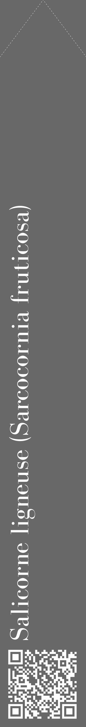 Étiquette de : Sarcocornia fruticosa - format c - style blanche6_simple_simplebod avec qrcode et comestibilité - position verticale
