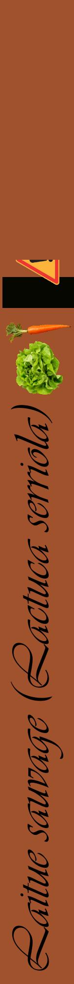 Étiquette de : Lactuca serriola - format a - style noire32viv avec comestibilité simplifiée