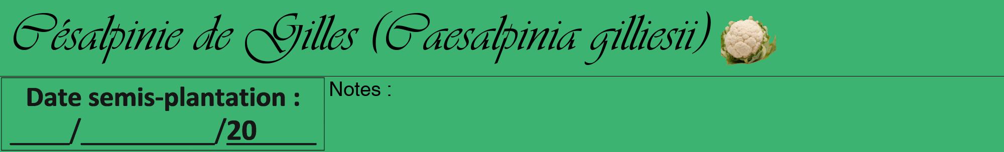 Étiquette de : Caesalpinia gilliesii - format a - style noire12viv avec comestibilité simplifiée