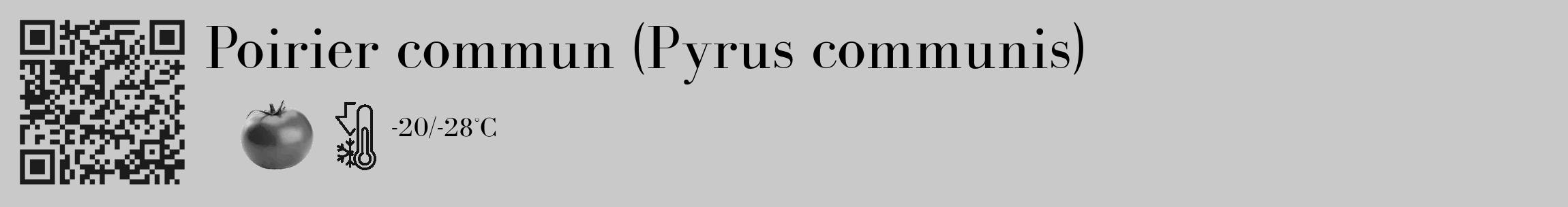 Étiquette de : Pyrus communis - format c - style noire54_basique_basiquebod avec qrcode et comestibilité simplifiée