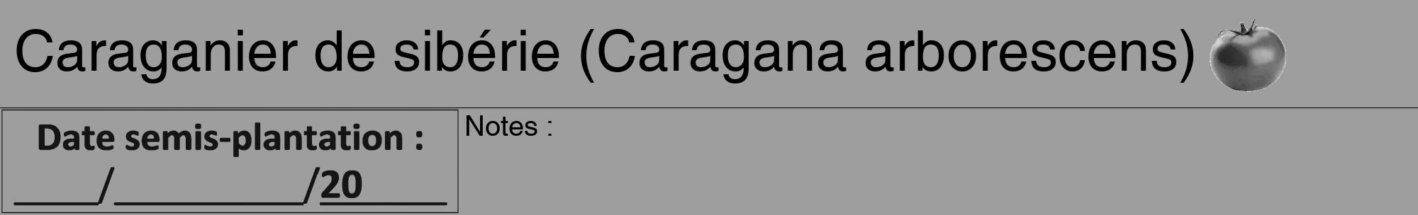 Étiquette de : Caragana arborescens - format a - style noire23hel avec comestibilité simplifiée