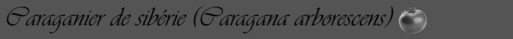 Étiquette de : Caragana arborescens - format a - style noire36viv avec comestibilité simplifiée