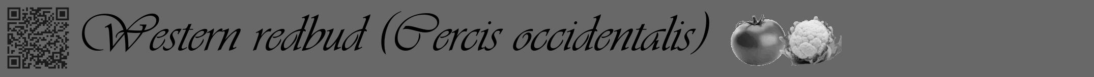 Étiquette de : Cercis occidentalis - format a - style noire6viv avec qrcode et comestibilité simplifiée