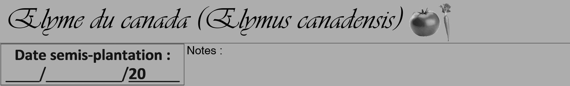 Étiquette de : Elymus canadensis - format a - style noire22viv avec comestibilité simplifiée