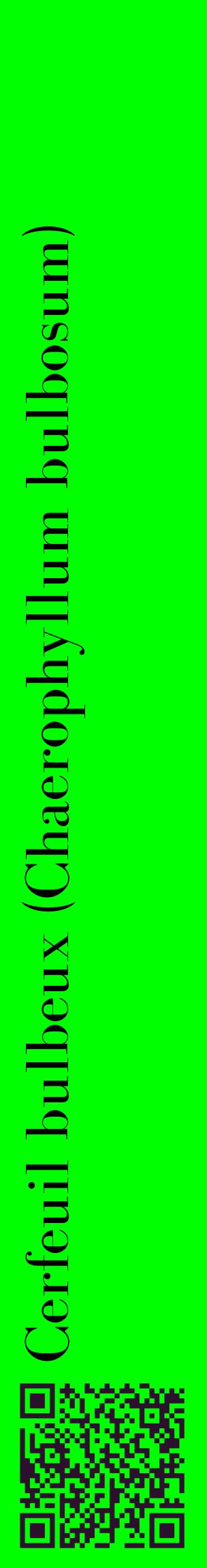 Étiquette de : Chaerophyllum bulbosum - format c - style noire16_basiquebod avec qrcode et comestibilité