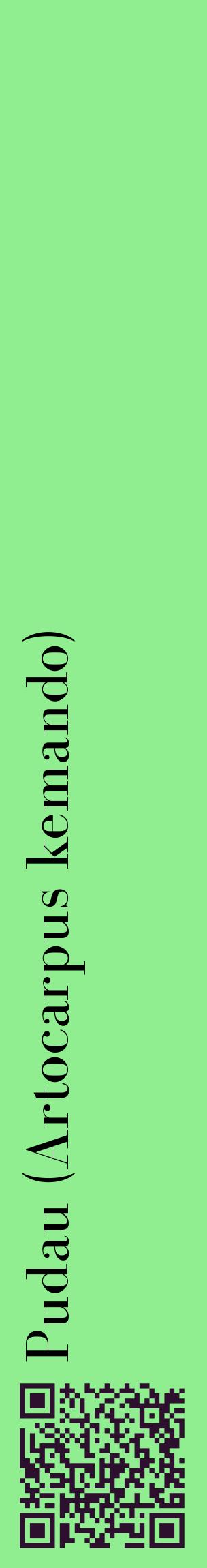 Étiquette de : Artocarpus kemando - format c - style noire15_basiquebod avec qrcode et comestibilité