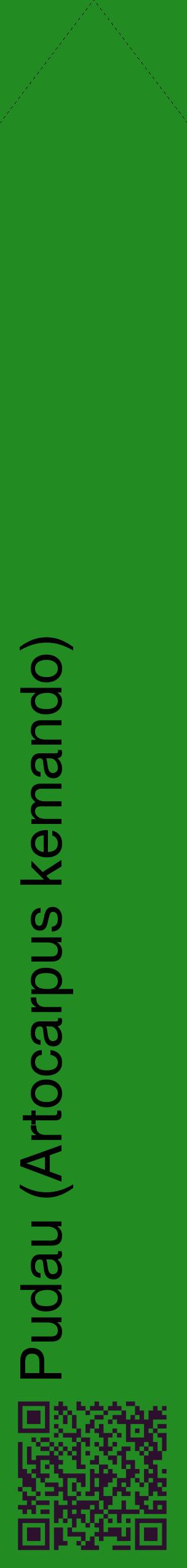 Étiquette de : Artocarpus kemando - format c - style noire10_simplehel avec qrcode et comestibilité