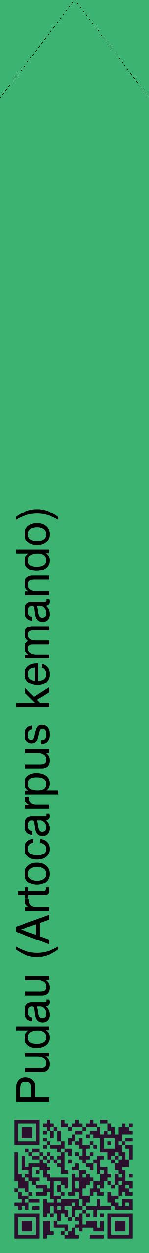 Étiquette de : Artocarpus kemando - format c - style noire12_simplehel avec qrcode et comestibilité