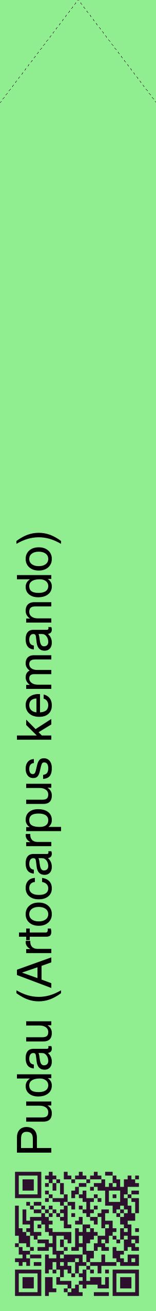 Étiquette de : Artocarpus kemando - format c - style noire15_simplehel avec qrcode et comestibilité