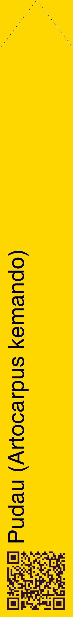 Étiquette de : Artocarpus kemando - format c - style noire21_simplehel avec qrcode et comestibilité