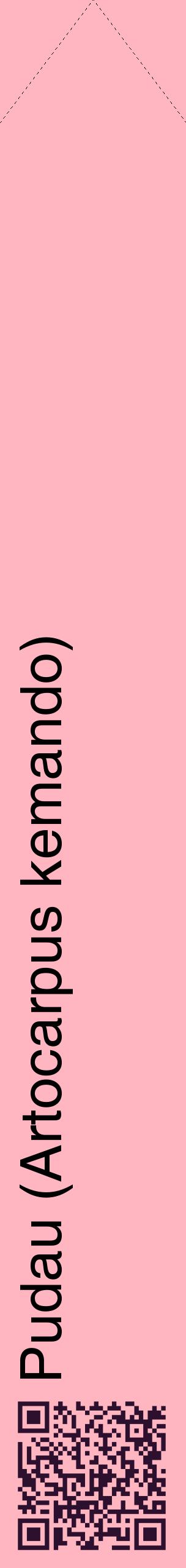 Étiquette de : Artocarpus kemando - format c - style noire41_simplehel avec qrcode et comestibilité