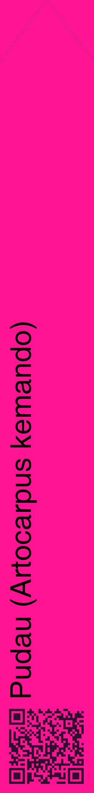 Étiquette de : Artocarpus kemando - format c - style noire43_simplehel avec qrcode et comestibilité
